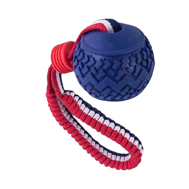 Piłka do gryzienia dla pieseła