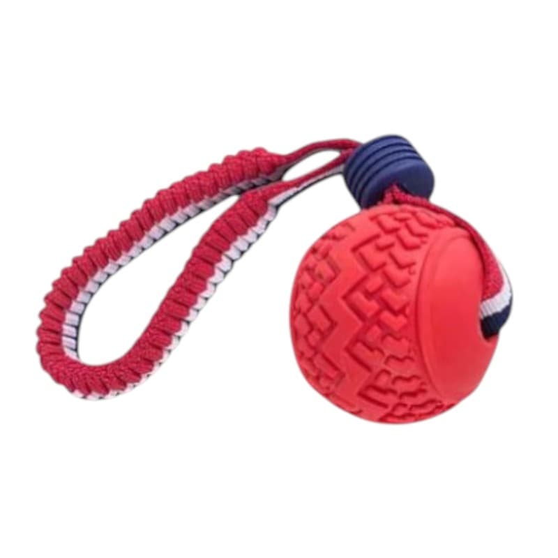 Piłka do gryzienia dla pieseła